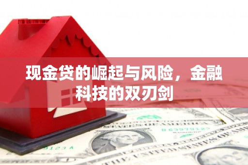 观山湖现金贷的崛起与风险，金融科技的双刃剑