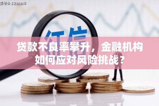 观山湖贷款不良率攀升，金融机构如何应对风险挑战？