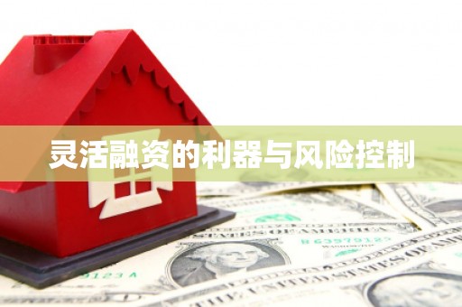 观山湖灵活融资的利器与风险控制