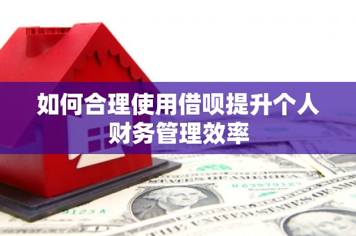 观山湖如何合理使用借呗提升个人财务管理效率