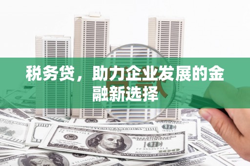 观山湖税务贷，助力企业发展的金融新选择