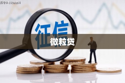 观山湖微粒贷