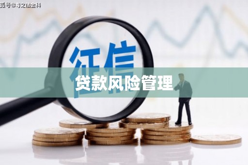 观山湖贷款风险管理