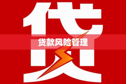 观山湖贷款风险管理