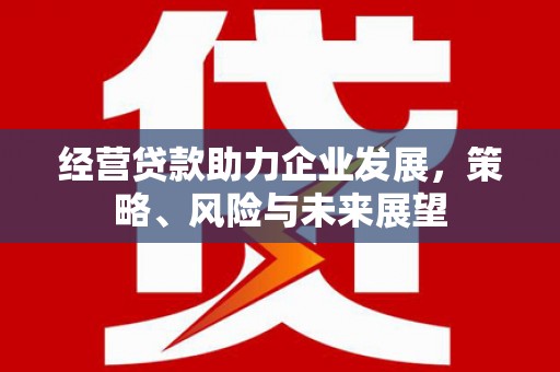 观山湖经营贷款助力企业发展，策略、风险与未来展望