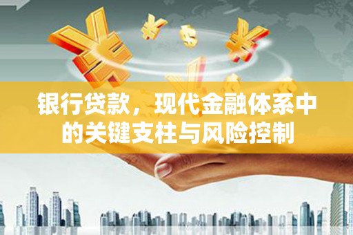 观山湖银行贷款，现代金融体系中的关键支柱与风险控制