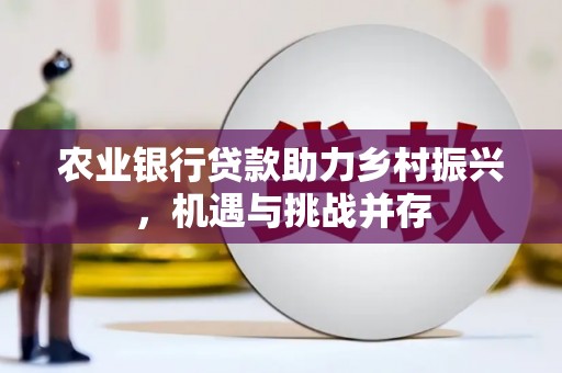 观山湖农业银行贷款助力乡村振兴，机遇与挑战并存