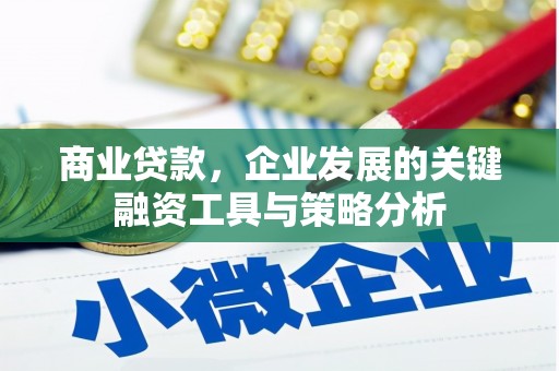 观山湖商业贷款，企业发展的关键融资工具与策略分析