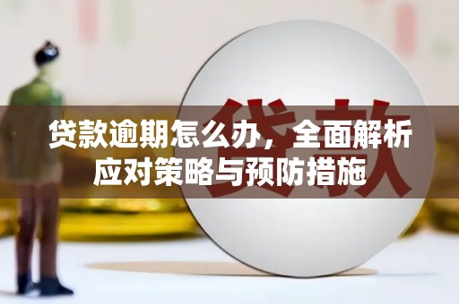 观山湖贷款逾期怎么办，全面解析应对策略与预防措施