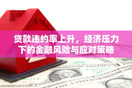 观山湖贷款违约率上升，经济压力下的金融风险与应对策略