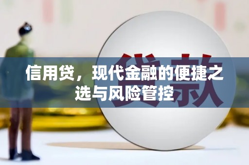 观山湖信用贷，现代金融的便捷之选与风险管控