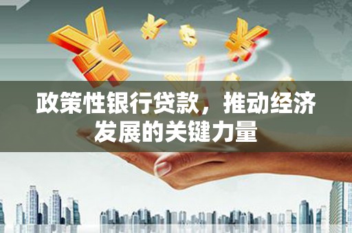 观山湖政策性银行贷款，推动经济发展的关键力量