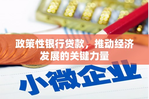 观山湖政策性银行贷款，推动经济发展的关键力量