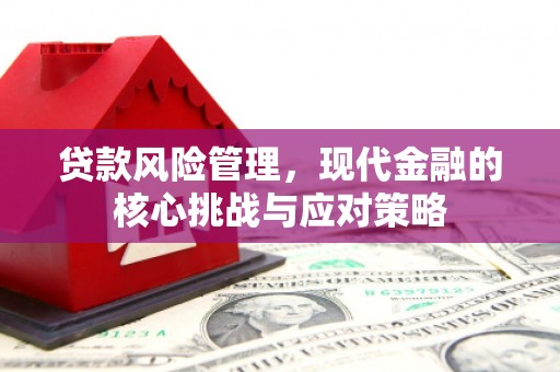观山湖贷款风险管理，现代金融的核心挑战与应对策略