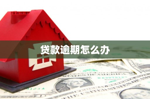观山湖贷款逾期怎么办