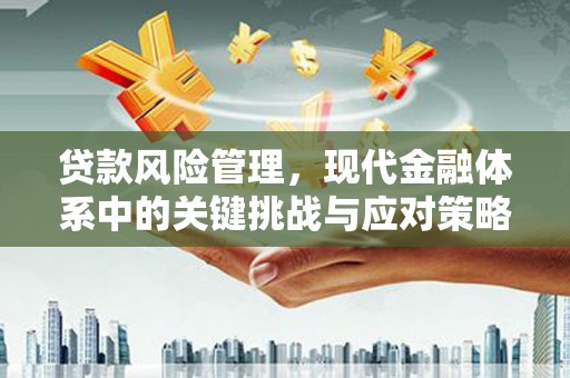 观山湖贷款风险管理，现代金融体系中的关键挑战与应对策略