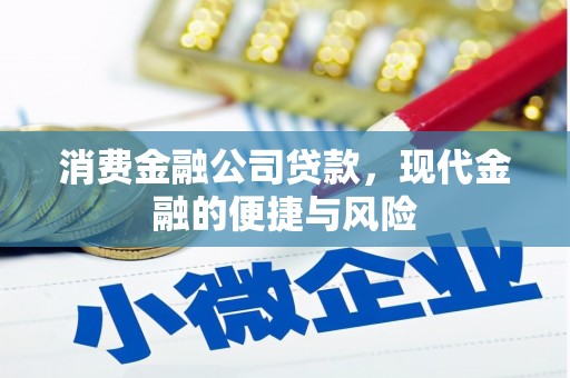 观山湖消费金融公司贷款，现代金融的便捷与风险